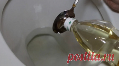 Необычное применение подсолнечного масла в туалете