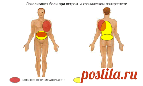 Боль в спине и пояснице при панкреатите: когда возникает, причины, признаки, методы борьбы и особенности при беременности