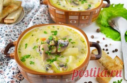 Сырный суп с грибами – ТОП 10 вкусных рецептов с фото