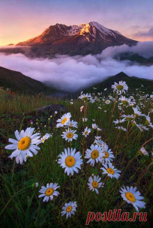 miscommunicati0n:  
enchanting-landscapes:  Helens by Justin Poe.    
Nature blog