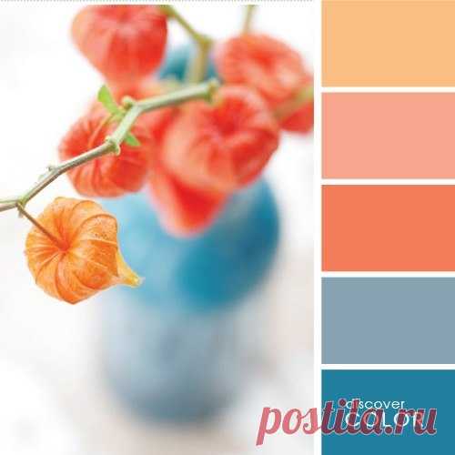 Лучшие сочетания цветов с персиковым — Сделай сам, идеи для творчества - DIY Ideas