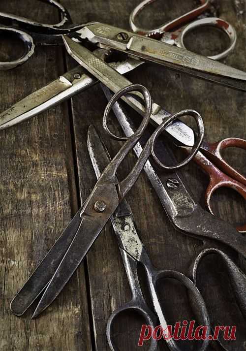 5 способов заточки ножниц в домашних условиях | Кому Идею?