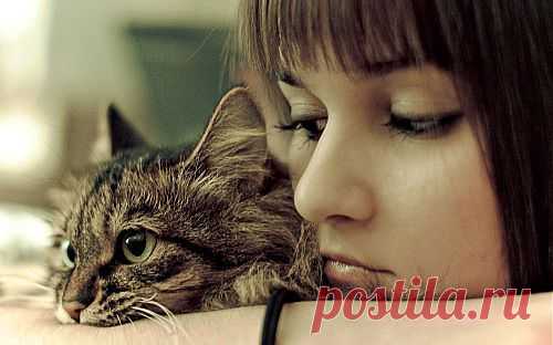 Как избавиться от кошачьего запаха | My Milady