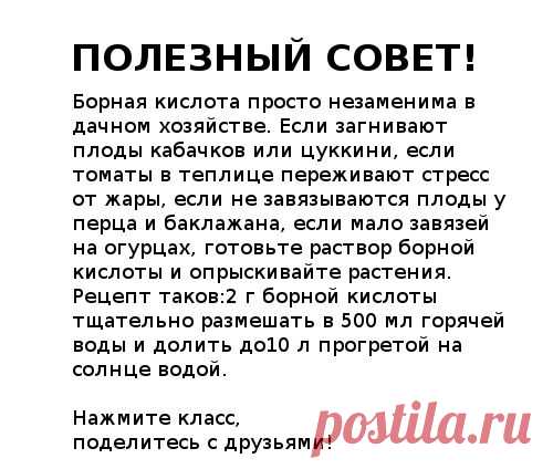 ПОЛЕЗНЫЙ СОВЕТ ДАЧНИКАМ.