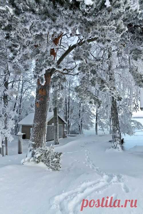 A Snowy Winter Path | Winter