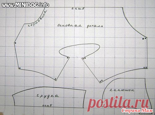 Выкройка для собаки - Гардероб для наших любимых питомцев (собак, кошек) - Страна Мам