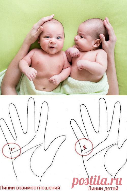 Как узнать, сколько будет детей по линиям на руке