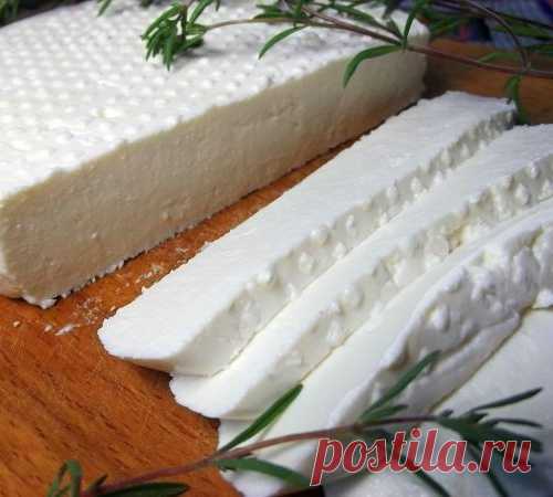 Адыгейский сыр в домашних условиях