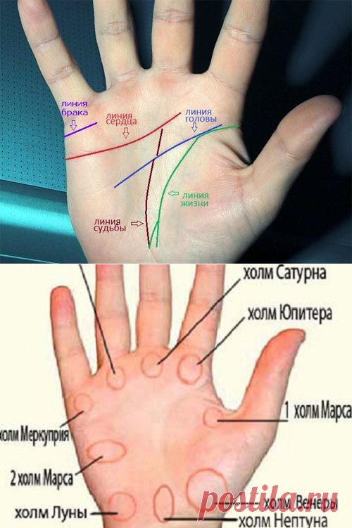 Хиромантия: знаки удачи и богатства на руке