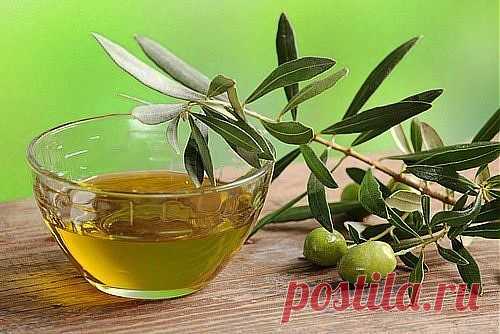 30 нестандартных методов использования оливкового масла в быту. | Хитрости Жизни