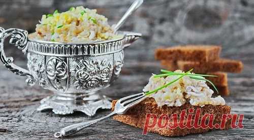Закуски из селедки – 10 рецептов на праздничный стол с фото