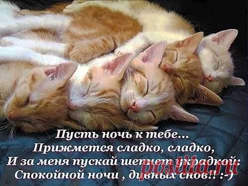 Мой Мир@Mail.Ru