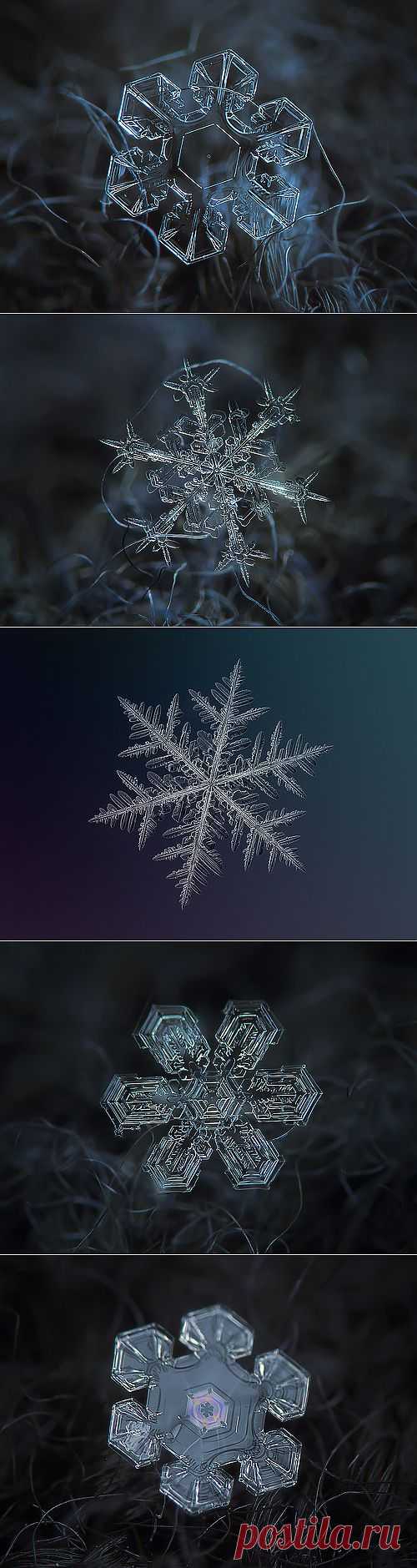 Snowflakes and snow crystals - a set on Flickr