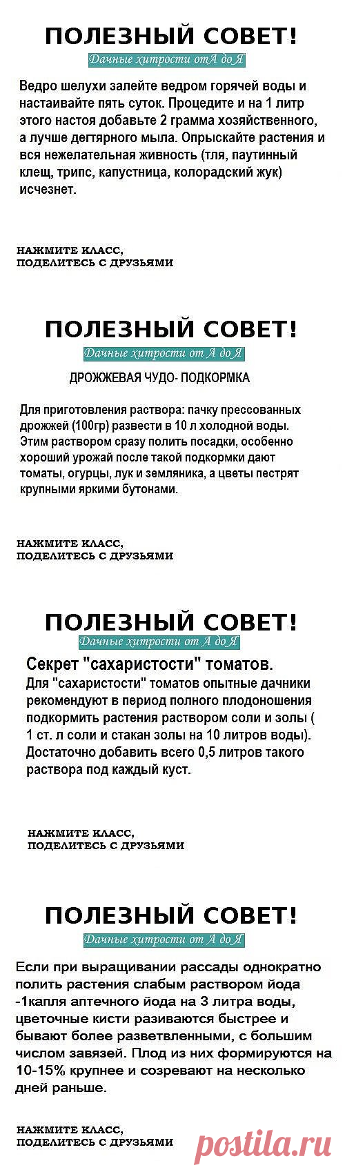 (4) Одноклассники