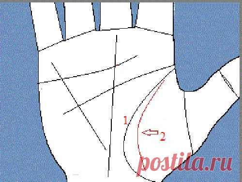 Линия ангела-хранителя на ладони: есть ли она у вас?