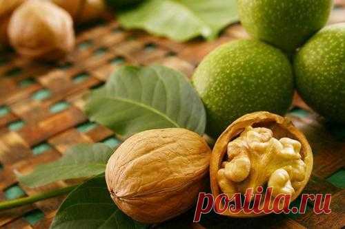 Грецкий орех.  Аюрведа относит грецкий орех к масляной тяжелой пище, понижающей вата - Дошу и повышающей питту и капху. Грецкий орех является естественным антиоксидантом, обладает противовоспалительными свойствами, способствует лечению варикозного расширения вен, нормализует артериальное давление, улучшает работу серде...