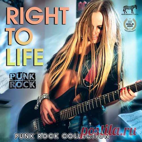 Right To Life (Mp3)