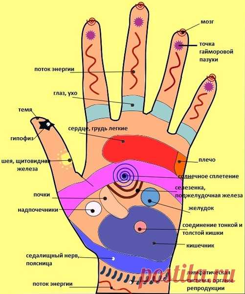 Массаж биологически активных точек руки | BeautyInfo