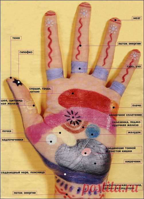 Волшебные точки на ваших ладонях! » Женский Мир