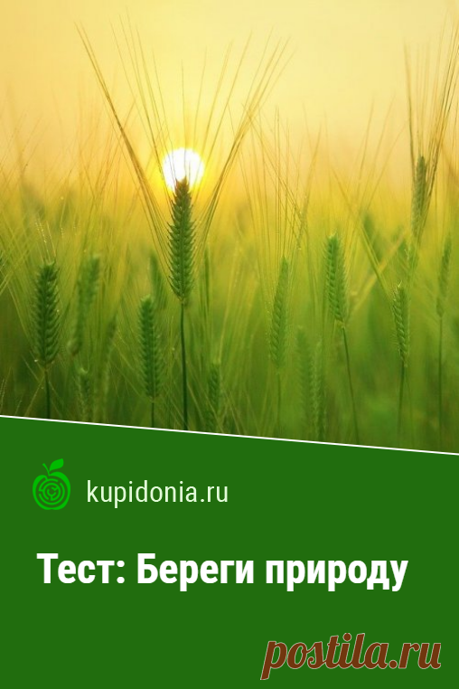 Тест: Береги природу. Интересный тест о природе. Проверьте ваши знания!