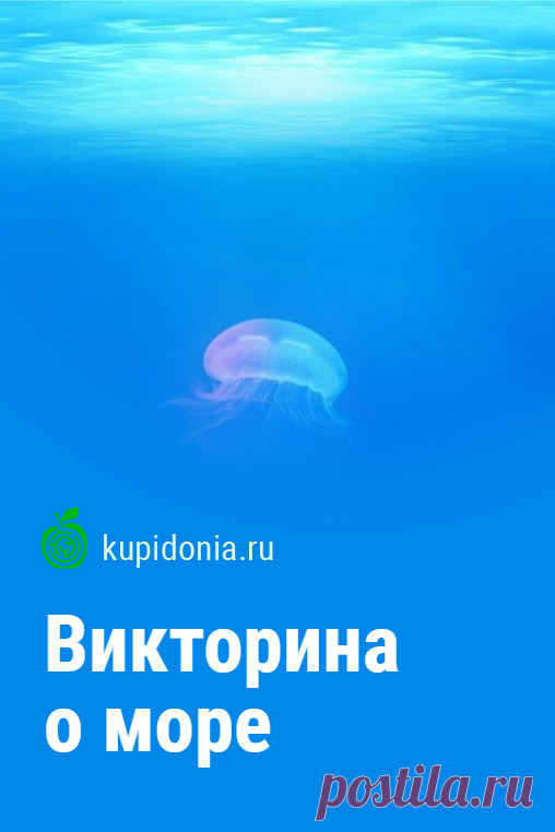 Викторина о море. Интересный тест о море из серии «География». Проверьте свои знания!