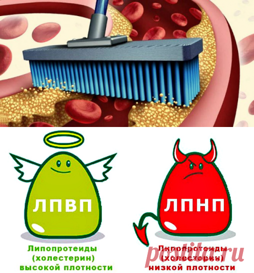 Как снизить плохой холестерин в крови: советы, видео
Число пациентов с сосудистыми заболеваниями растет с каждым днем. И атеросклероз становится болезнью людей среднего возраста, не говоря о стариках. Утешительно то, что в такой ситуации здоровье зависит от самого человека, от его питания и образа жизни. Надеюсь, эта информация вам поможет.