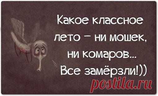 Кто ещё раз пожалуется на жару - получит по морде лыжами! :-(