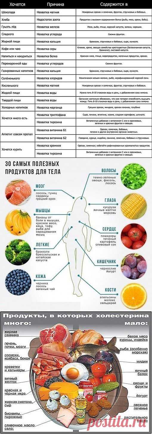 Хочется мяса причины. Чего не хватает в организме. Если хочется острого чего не хватает в организме. Чего не хватает организму таблица. Хочется фруктов чего не хватает.