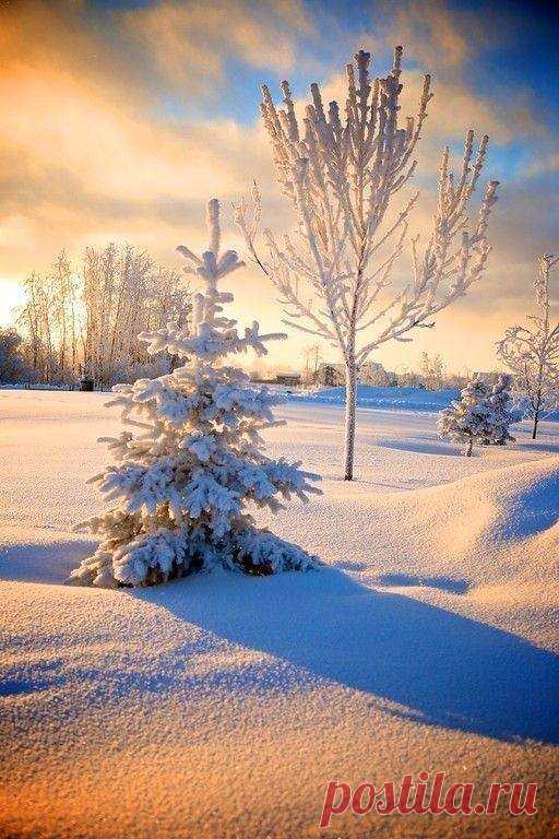 Доброе утро💥
Зимний рассвет.,.Белая зима...Прелесть...❄️