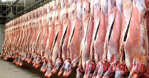 «Мираторг» начал поставки говядины в Бразилию Агрохолдинг «Мираторг» первым среди российских производителей приступил к поставкам говядины в Бразилию, партия из 13 тонн продукции направлена в адрес