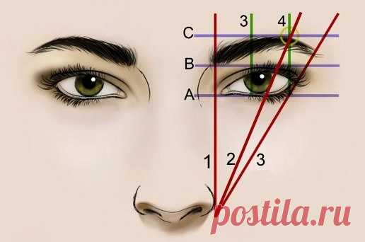 Как найти идеальную форму бровей — Модно / Nemodno