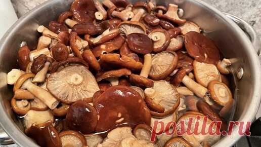 ЗАСОЛКА ГРИБОВ | Пошаговый рецепт, как солить грибы в домашних условиях на зиму | Вкусный Канал | Дзен