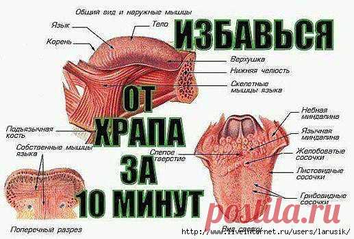 (45) Одноклассники