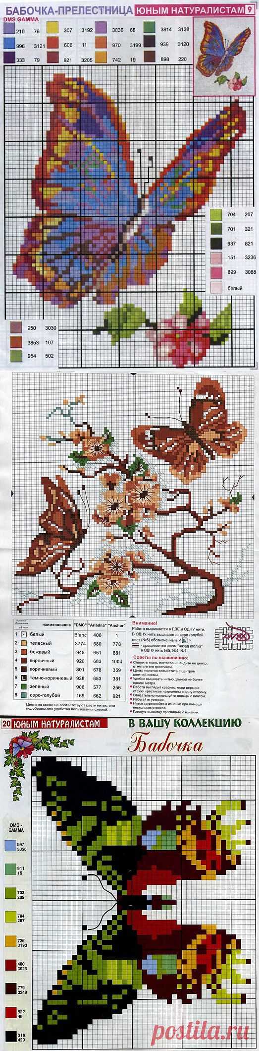 Схемы вышивки бабочек крестом / Схемы вышивки крестиком / PassionForum - мастер-классы по рукоделию