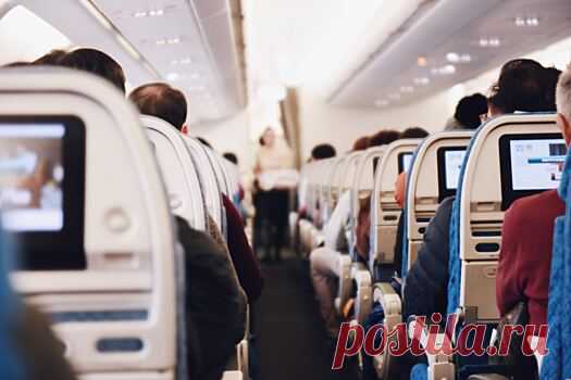 Лайфхак: как стюардессы поддерживают запах чистоты в туалете без аэрозолей: Лайфхаки, Путешествия | Pinreg.Ru