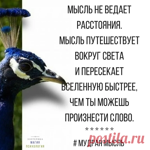 Елена Сергиенко - Google+