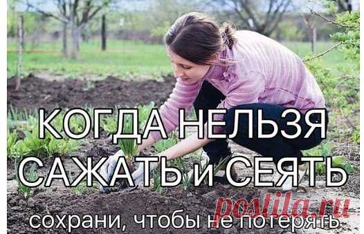 КОГДА НЕЛЬЗЯ САЖАТЬ и СЕЯТЬ
Народные приметы для садоводов-огородников!
- Картофель нельзя сажать на Вербной неделе, по средам и субботам - будет портиться.
- Если весна ранняя, то капусту, как и лук сеют на четвертой неделе Великого поста или позже - на пятой.
- Если весна запаздывает, то производят посев в последние дни Страстной недели, особенно в субботу.
- Подсолнухи лучше сажать в субботу, до восхода солнца или после его захода. Последнее предпочтительнее. При посадке молчат и не грыз
