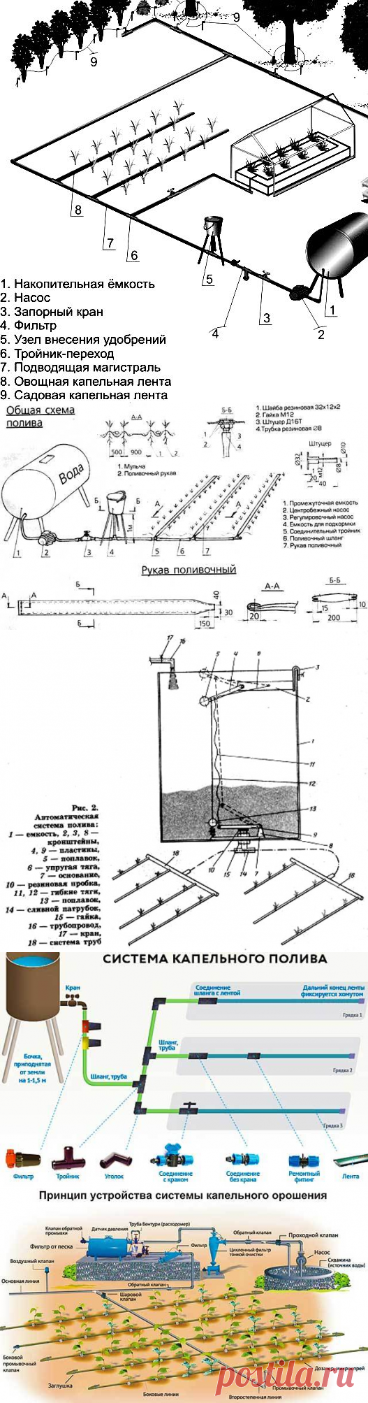 Капельный полив на даче — схемы организации систем орошения | Мои Идеи Для Дачи и Сада