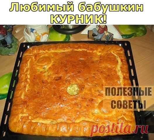 ЛЮБИМЫЙ БАБУШКИН КУРНИК!