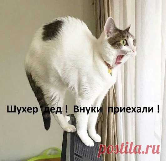 Дмитрий Пахотинский - Google+