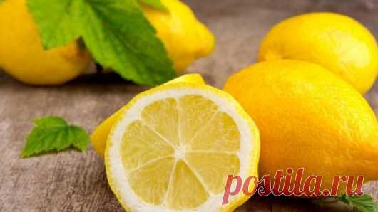 Борьба с раком и не только: чем полезна цедра лимона: Press-Portal