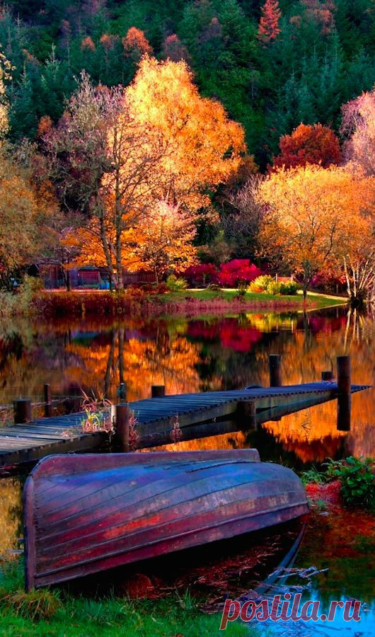 Vibrant autumn | Colors of Fall