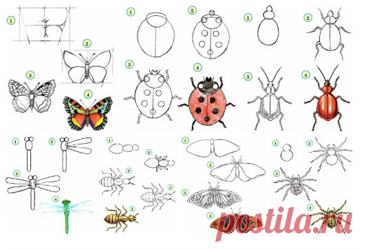 Учимся рисовать насекомых с детьми   https://vk.com/i_d_t?w=wall-31805219_163300
