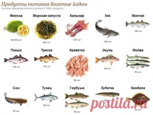 Йодная сеточка: какую несет пользу и вред - Новости здоровья - Оказывается, что йодную сеточку наносить на тело можно не каждому человеку - Новости Телеграф - Страница 2