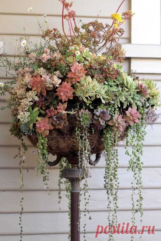 Sandra Mora González сохранил(а) Пин на доску garden.  
A recycled lamp base and hanging planter basket create a unique garden pedestal.  |  Pinterest • Всемирный каталог идей