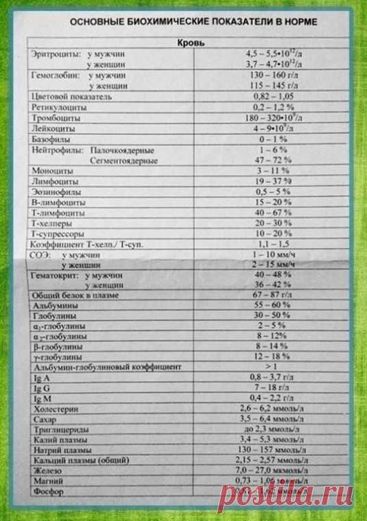 ​Какие существуют нормы анализов — Полезные советы