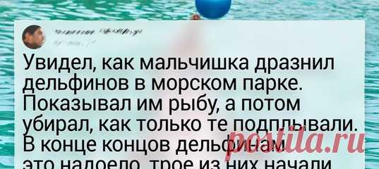 Как на самом деле животные попадают в дельфинарии и почему это сложно назвать спасением