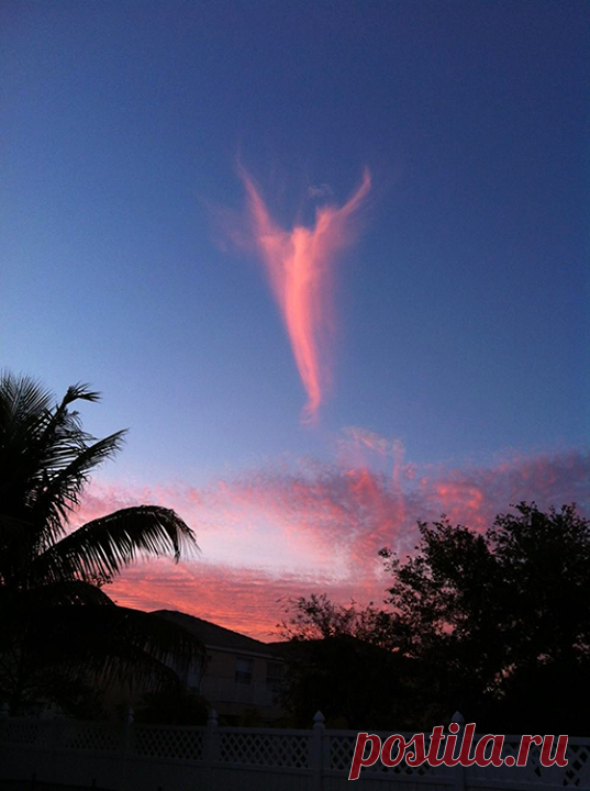 Необычное облако. Теперь мы знаем, как выглядят ангелы :)