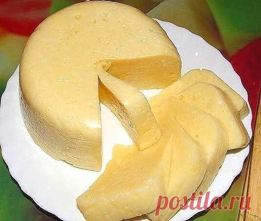 Рецепты сыра: Домашний сыр за 3 часа Невероятно вкусный сыр