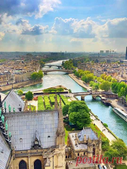 View from Notre Dame, Paris